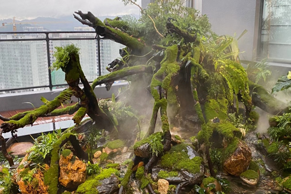 雨林水陸景觀設(shè)計制作